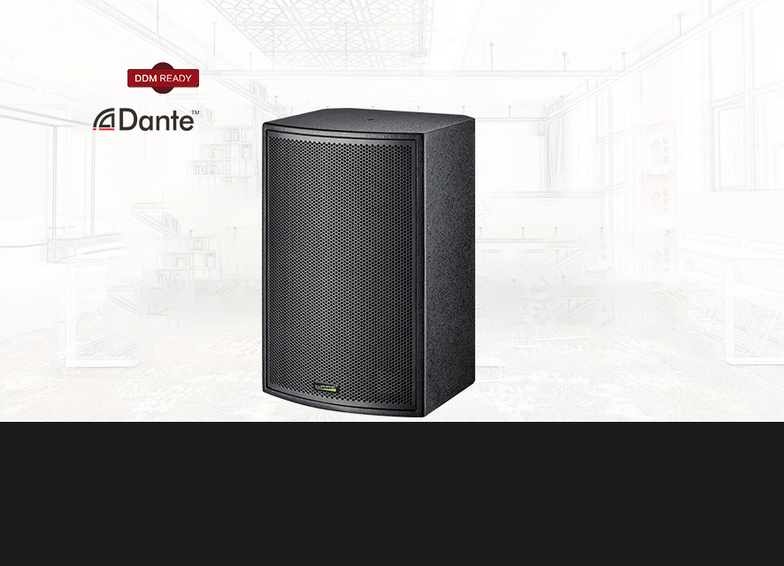 DF-8/DF-10/DF-12/DF-15  Dante网络有源音箱