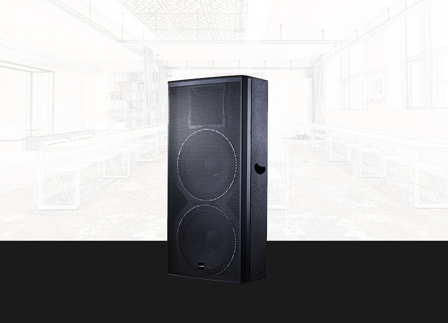 双15寸专业音箱BR-325
